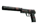 Souvenir USP-S | Ancient Visions (Minimal Wear)