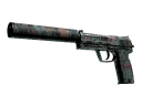 Souvenir USP-S | Ancient Visions (Well-Worn)