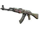 StatTrak™ AK-47 | Head Shot (Battle-Scarred)