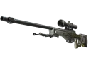 StatTrak™ AWP | Бог червей (После полевых испытаний)