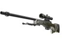 StatTrak™ AWP | Worm God (Minimal Wear)