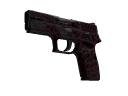 StatTrak™ P250 | Contaminant (Field-Tested)