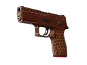 StatTrak™ P250 | Улей (Немного поношенное)
