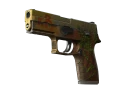 StatTrak™ P250 | Inferno (Battle-Scarred)