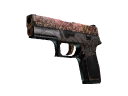 StatTrak™ P250 | Mehndi (Battle-Scarred)