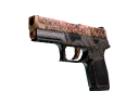 StatTrak™ P250 | Mehndi (Factory New)