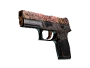 StatTrak™ P250 | Mehndi (Well-Worn)