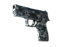 StatTrak™ P250 | Steel Disruption (Minimal Wear)