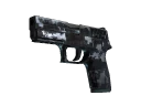 StatTrak™ P250 | Steel Disruption (Field-Tested)