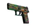 StatTrak™ P250 | Visions (Well-Worn)