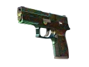 StatTrak™ P250 | Visions (Battle-Scarred)