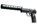 StatTrak™ USP-S | Dark Water (Field-Tested)