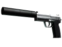 StatTrak™ USP-S | Stainless (Factory New)