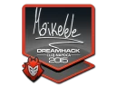 Наклейка | Maikelele | Клуж-Напока 2015