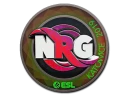 Sticker | NRG (Holo) | Katowice 2019