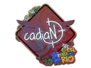 Наклейка | cadiaN (блёстки) | Рио 2022