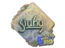 Sticker | siuhy (Holo) | Rio 2022