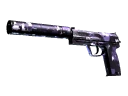 USP-S | Purple DDPAT (Well-Worn)