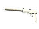 USP-S | Снежная мгла (Немного поношенное)