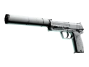 USP-S | Whiteout (Well-Worn)