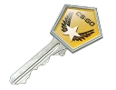 Winter Offensive Case Key