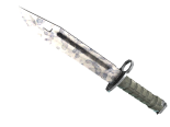 ★ Bayonet | Stained (Factory New)