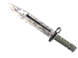 ★ Bayonet | Stained (Field-Tested)