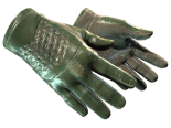 ★ Driver Gloves | Racing Green (Well-Worn)