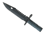 ★ M9 Bayonet | Night (Field-Tested)