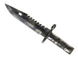 ★ M9 Bayonet | Scorched (Well-Worn)