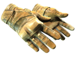 ★ Moto Gloves | Transport (Battle-Scarred)