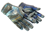★ Specialist Gloves | Mogul (Battle-Scarred)