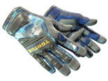 ★ Specialist Gloves | Mogul (Field-Tested)