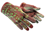 ★ Sport Gloves | Bronze Morph (Well-Worn)