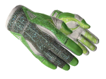 ★ Sport Gloves | Hedge Maze (Minimal Wear)