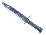 ★ StatTrak™ Bayonet | Bright Water (Battle-Scarred)