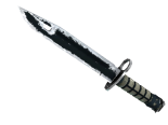 ★ StatTrak™ Bayonet | Night (Battle-Scarred)