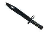 ★ StatTrak™ Bayonet | Night (Well-Worn)