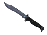 ★ StatTrak™ Bowie Knife | Blue Steel (Well-Worn)