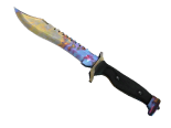 ★ StatTrak™ Bowie Knife | Case Hardened (Minimal Wear)