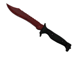 ★ StatTrak™ Bowie Knife | Crimson Web (Well-Worn)