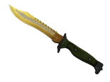★ StatTrak™ Bowie Knife | Lore (Factory New)