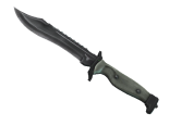 ★ StatTrak™ Bowie Knife