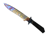★ StatTrak™ Classic Knife | Case Hardened (Well-Worn)