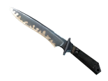 ★ StatTrak™ Classic Knife