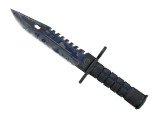 ★ StatTrak™ M9 Bayonet | Bright Water (Battle-Scarred)