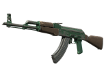AK-47 | Wintergreen (Battle-Scarred)