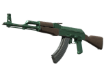 AK-47 | Wintergreen (Field-Tested)