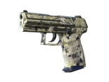 P2000 | Granite Marbleized (Well-Worn)