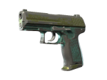 P2000 | Marsh (Battle-Scarred)